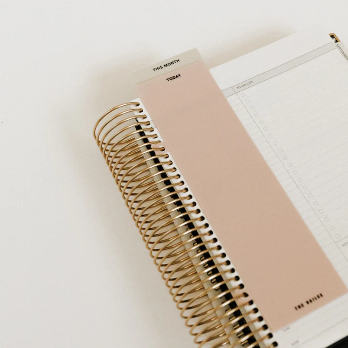 Student Productivity Planner & Organizer-GoldMiles